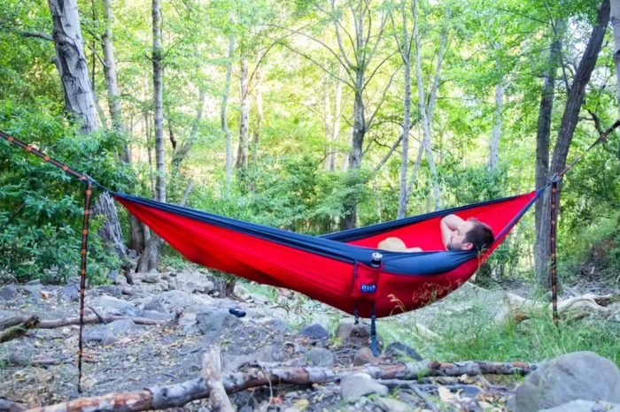 Hammock bamboo living room exotic kiosk